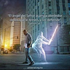 Meet your Posher, Esau